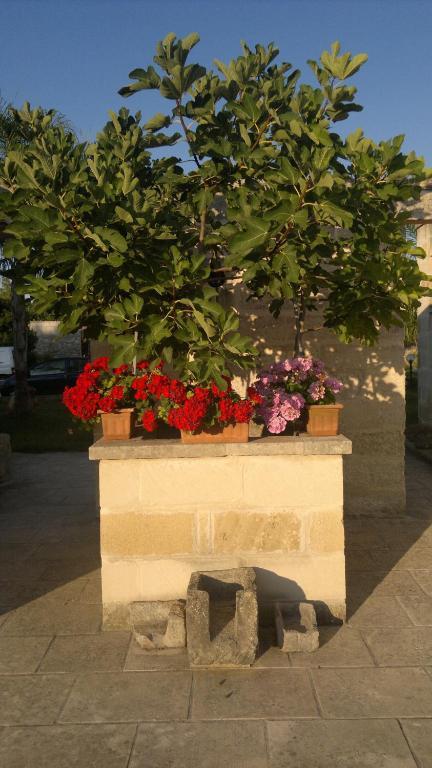 Masseria Grande Hotel Torre dell'Orso Exterior photo